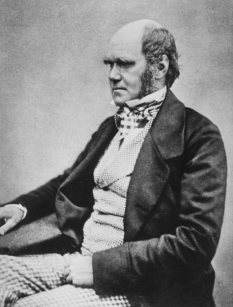 Charles Darwin  evolution and adaptability