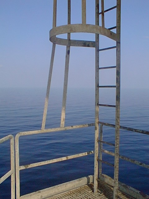 Ladder with cage and protective bands