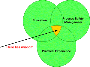 Operational excellence in the process and energy industries